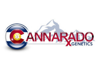 Knock Off - Cannarado Genetics