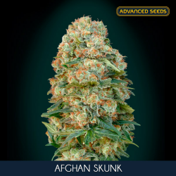 Afghan Skunk - Advanced Seeds