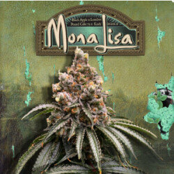 T.H. Seeds Mona Lisa Fem 6St.