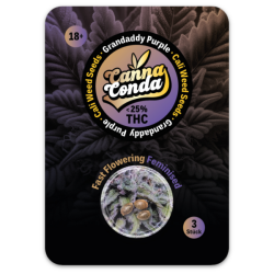 Grandaddy Purple Fast – Feminised Cali Seeds