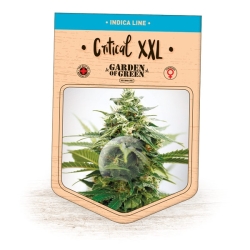 Critical XXL - Garden of Green