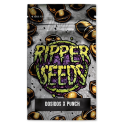 Limited Edition Do-Si-Dos x Purple Punch - Ripper Seeds