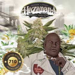 Hazanana 710 Special Pack - T.H. Seeds