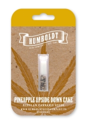 Pineapple Upside Down Cake Reg. - Humboldt Seeds Company