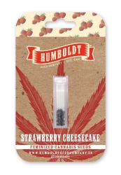 Strawberry Cheesecake Auto - Humboldt Seeds Company