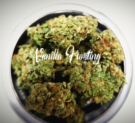 Vanilla Frosting - Tastebudz Seeds