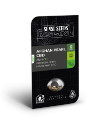 Afghan Pearl Cbd Auto - Sensi Seeds