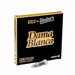 Dama Blanca - BlimBurn Seeds