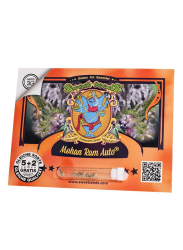 Mohan Ram Auto - Sweet Seeds