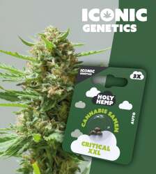 Critical XXL - Iconic Seeds