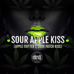 Sour Apple Kiss - ELEV8 Seeds