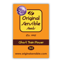 Ghost Train Power - Original Sensible Seeds