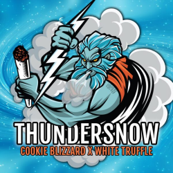 Thundersnow - Elev8 Seeds