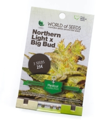 NL x Big Bud Early Harvest - World of Seeds