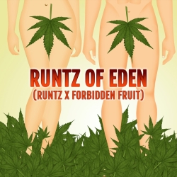 Runtz of Eden - ELEV8 Seeds