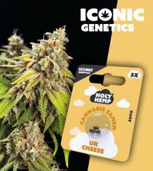 UK Cheese - Iconic Seeds