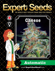 Cheese Auto - Expert Seeds