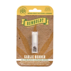 Garlic Budder - Humboldt Seeds Company