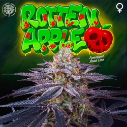 Rotten Apple - Perfect Tree Seeds