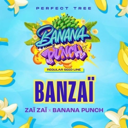 BANZAÏ Reg. - Perfect Tree Seeds