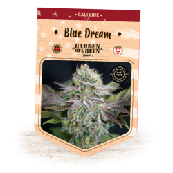 Blue Dream - Garden of Green