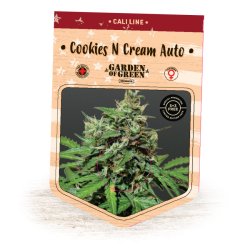 Cookies 'n' Cream Auto - Garden of Green