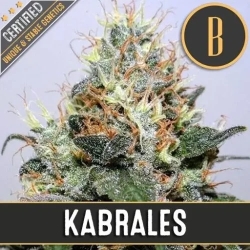 Kabrales - BlimBurn