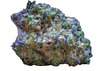 Frozen Cherry Runtz - Growers Choice