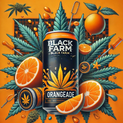 Orangeade - Black Farm Genetix