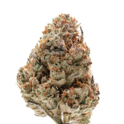 Silver Grape Sherbet - Growers Choice