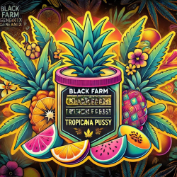 Tropicana Pussy - Black Farm Genetix