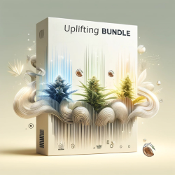 Energetisierende Cannabis-Sorten – Uplifting Bundle für kreative Köpfe