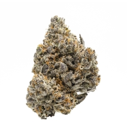 Rainbow Runtz - Growers Choice