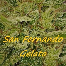 San Fernando Gelato - Dr. Underground