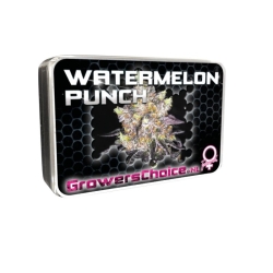 Watermelon Punch - Growers Choice