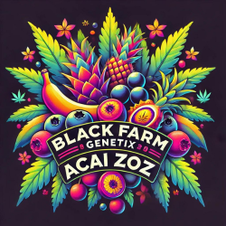 Acai Zoz - Black Farm Genetix