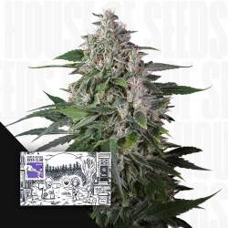 Karels Haze
