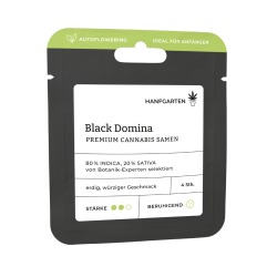Black Domina | Autoflowering