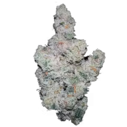 Super Boof - Growers Choice