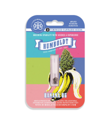 Banana OG - Humboldt Seeds Company