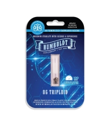 OG Triploid Auto - Humboldt Seeds Company
