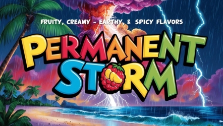 Permanent Storm - ELEV8 Seeds
