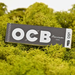 OCB Filter Tips (perforiert)