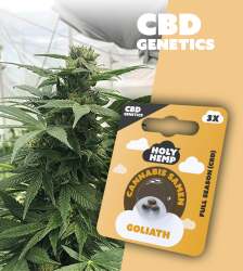 CBD Öl Tiere Isolat 20%