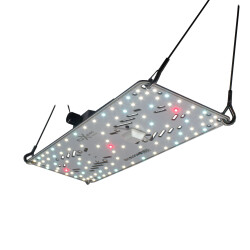 CreScience FLUXshield Habibi 150 (54W)