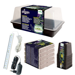 Romberg Homegrow Basic Starter Box Anzuchtset