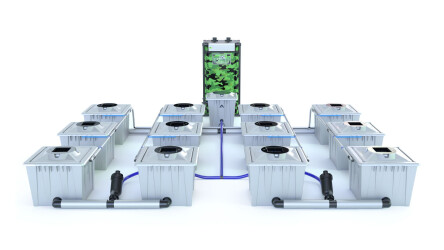 Alien Hydroponics RDWC System "Silver Series" (36L Töpfe) für 12 Pflanzen