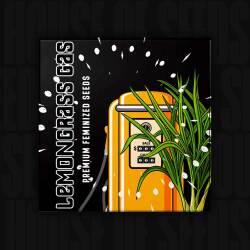 Lemongrass Gas