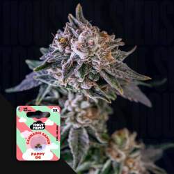 Pappy OG