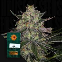 Gorilla Zkittelz